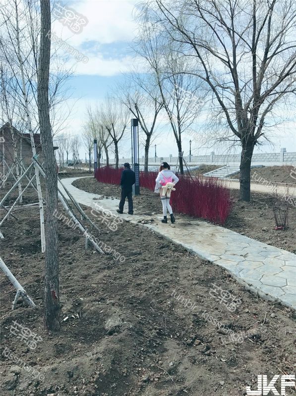 芒果酱露出公园活动